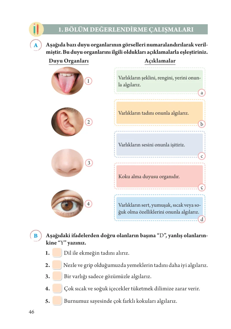3. Sınıf Fen Bilimleri Ders Kitabı Cevapları Tuna Yayınları Sayfa 46