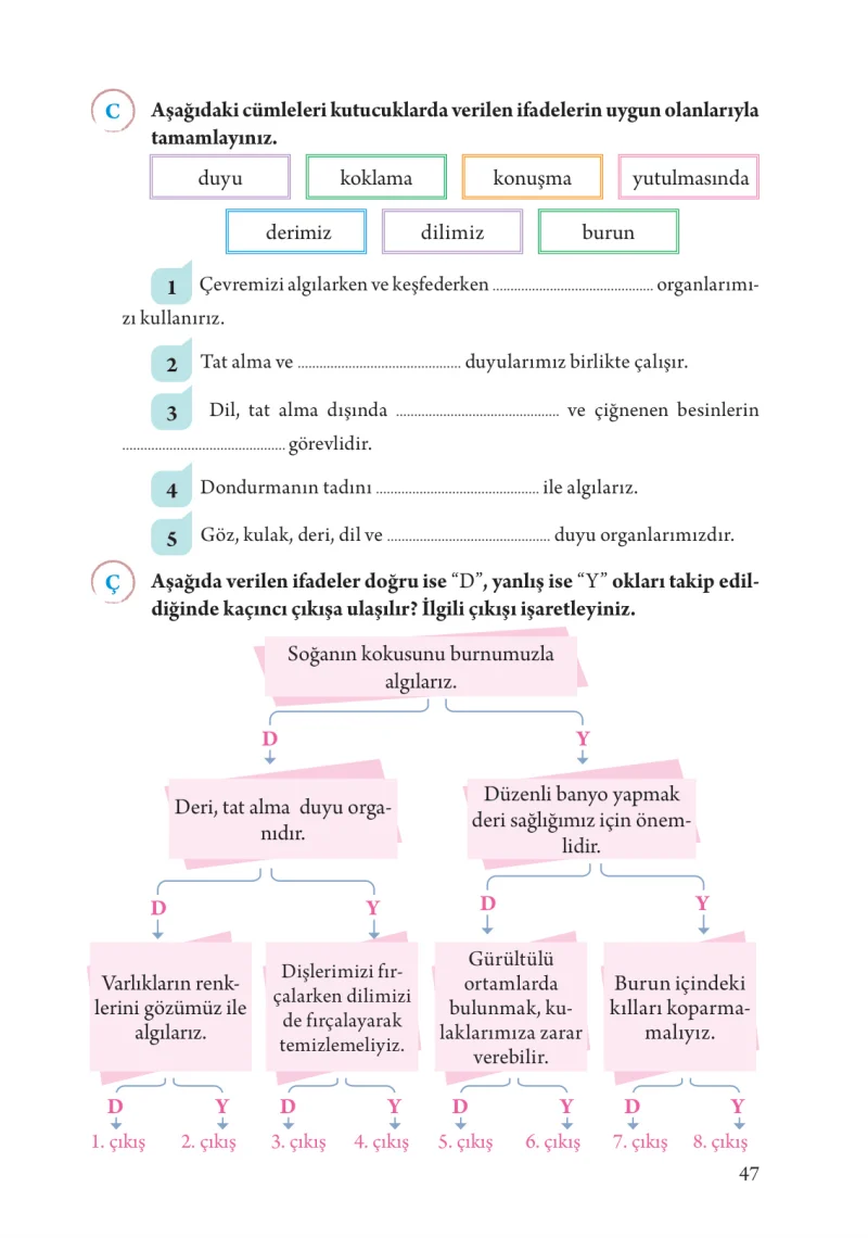 3. Sınıf Fen Bilimleri Ders Kitabı Cevapları Tuna Yayınları Sayfa 47