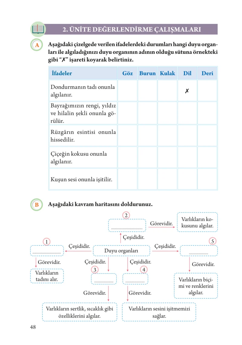 3. Sınıf Fen Bilimleri Ders Kitabı Cevapları Tuna Yayınları Sayfa 48