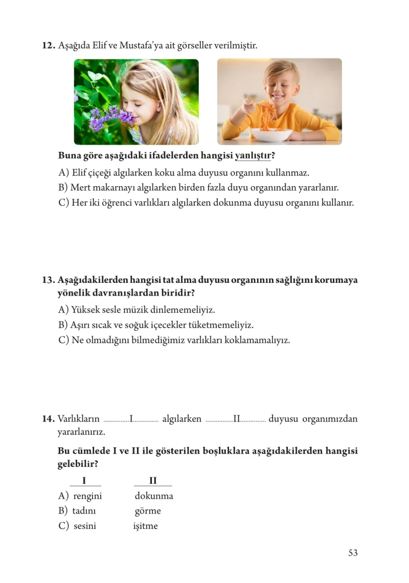 3. Sınıf Fen Bilimleri Ders Kitabı Cevapları Tuna Yayınları Sayfa 53
