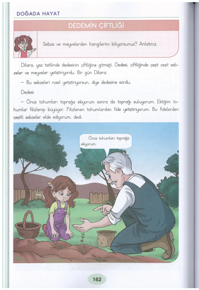 3. Sınıf Hayat Bilgisi Ders Kitabı Cevapları Dizin Yayıncılık Sayfa 162