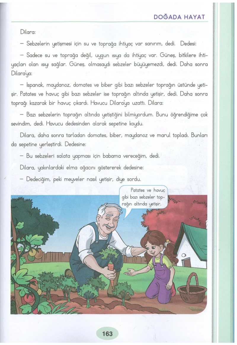 3. Sınıf Hayat Bilgisi Ders Kitabı Cevapları Dizin Yayıncılık Sayfa 163