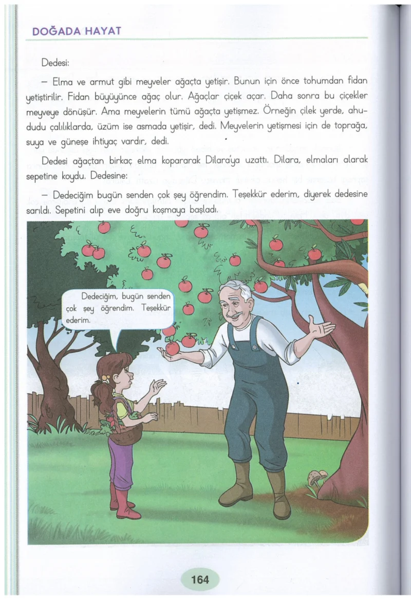 3. Sınıf Hayat Bilgisi Ders Kitabı Cevapları Dizin Yayıncılık Sayfa 164