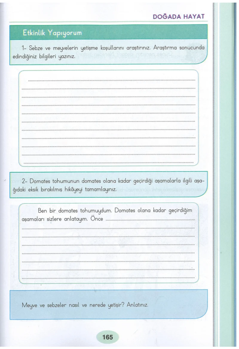 3. Sınıf Hayat Bilgisi Ders Kitabı Cevapları Dizin Yayıncılık Sayfa 165