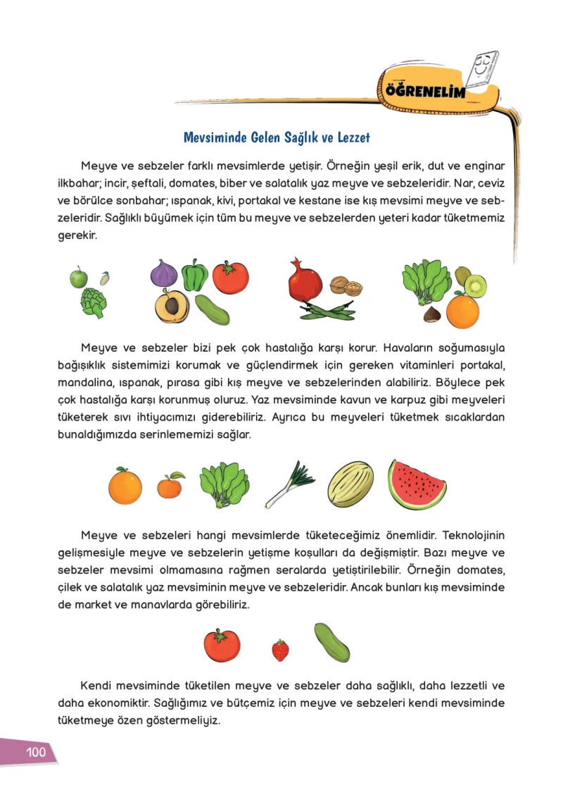 3. Sınıf Hayat Bilgisi Ders Kitabı Cevapları Meb Yayınları 1 Sayfa 100