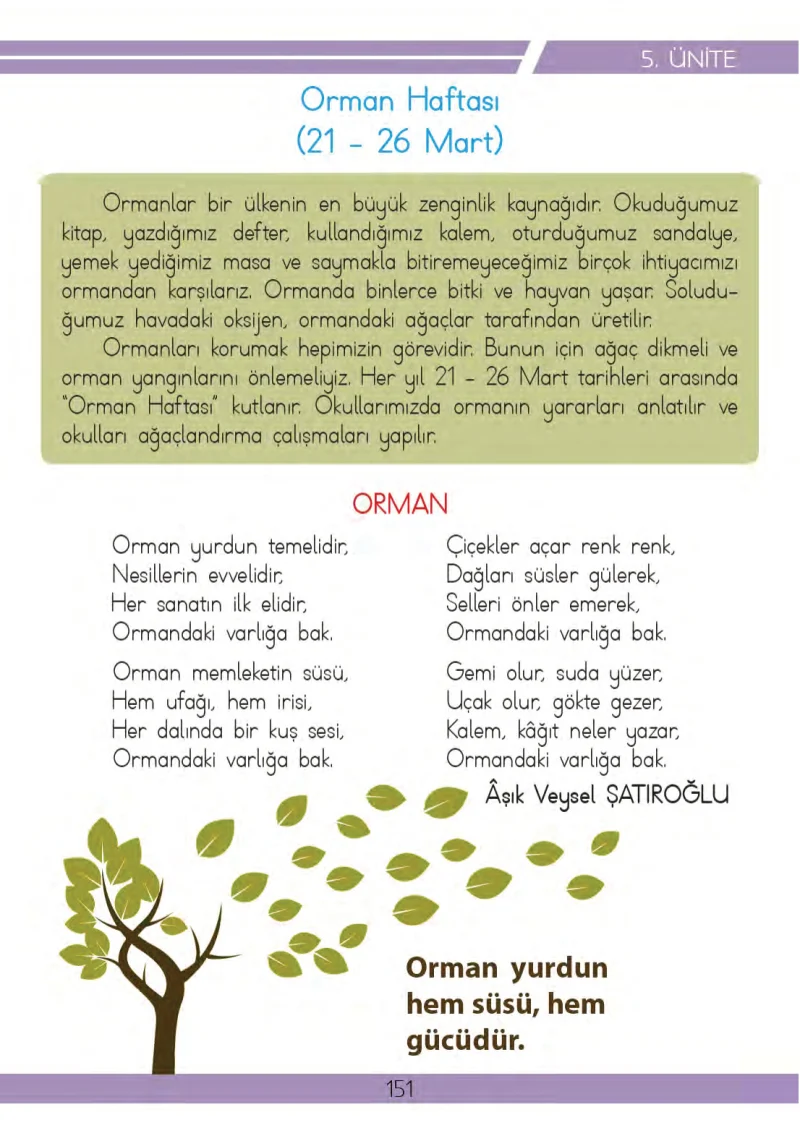 3. Sınıf Hayat Bilgisi Ders Kitabı Cevapları Meb Yayınları 2 Sayfa 151