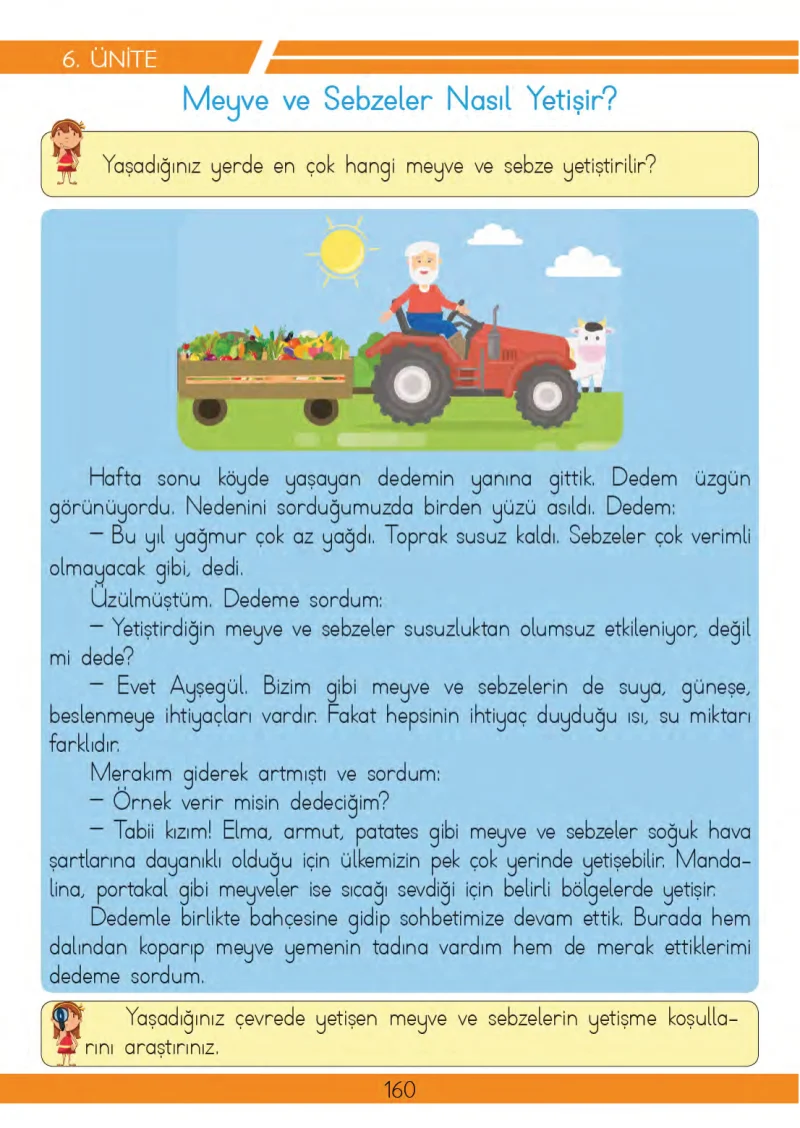 3. Sınıf Hayat Bilgisi Ders Kitabı Cevapları Meb Yayınları 2 Sayfa 160