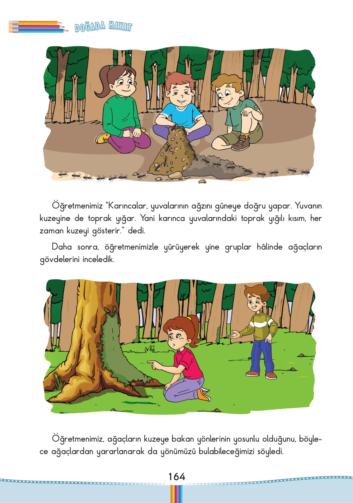 Kitap Sayfası