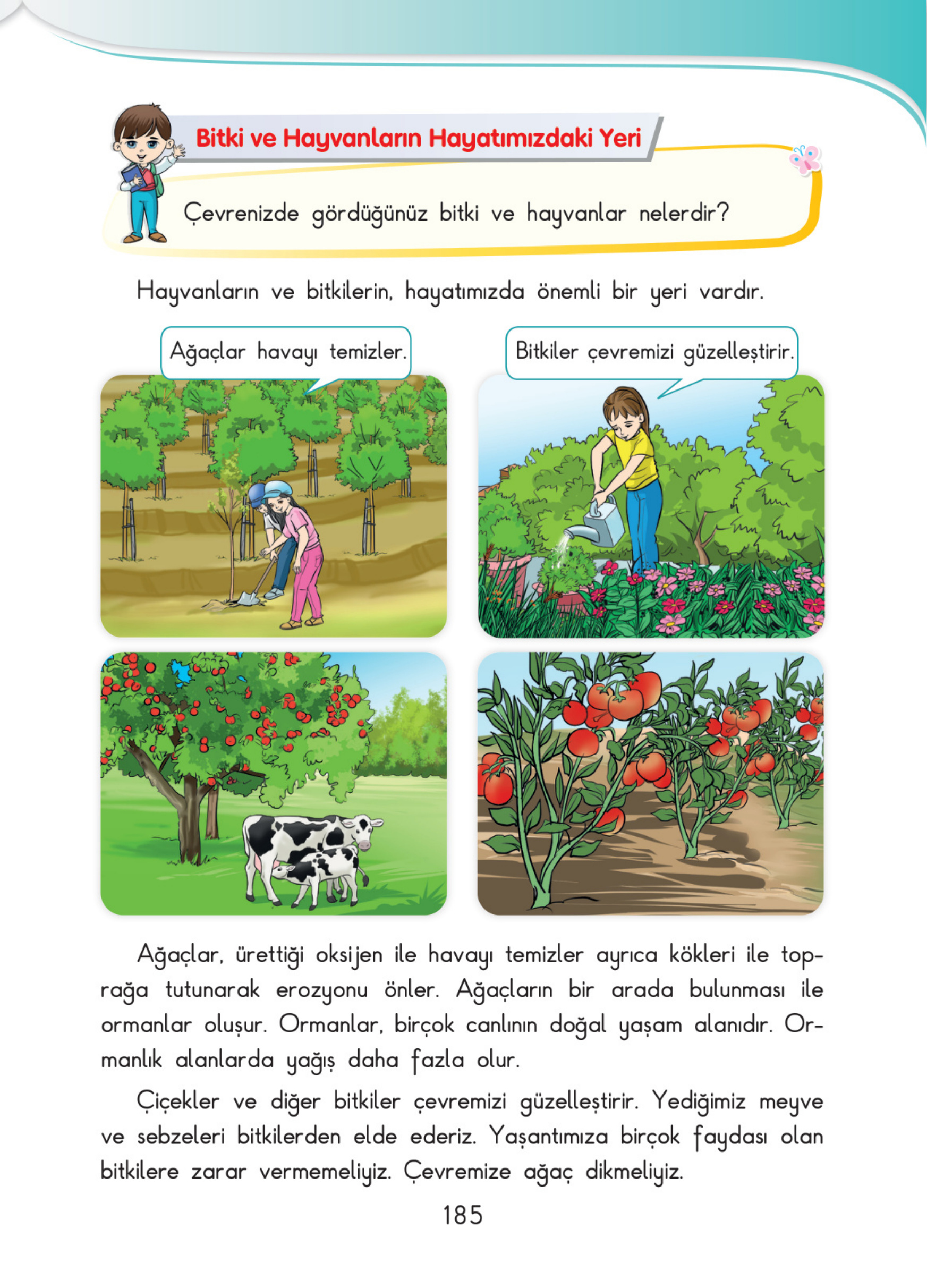 Kitap Sayfası