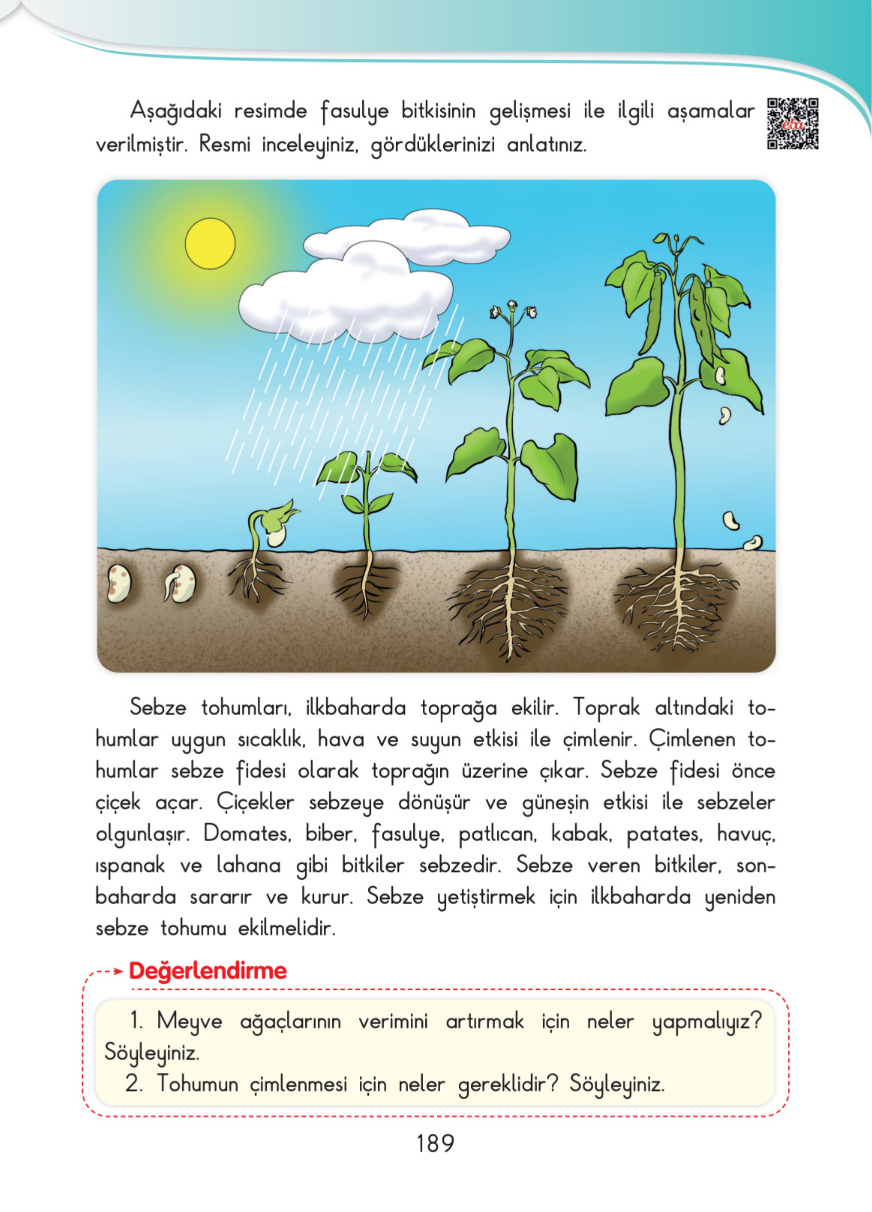 Kitap Sayfası