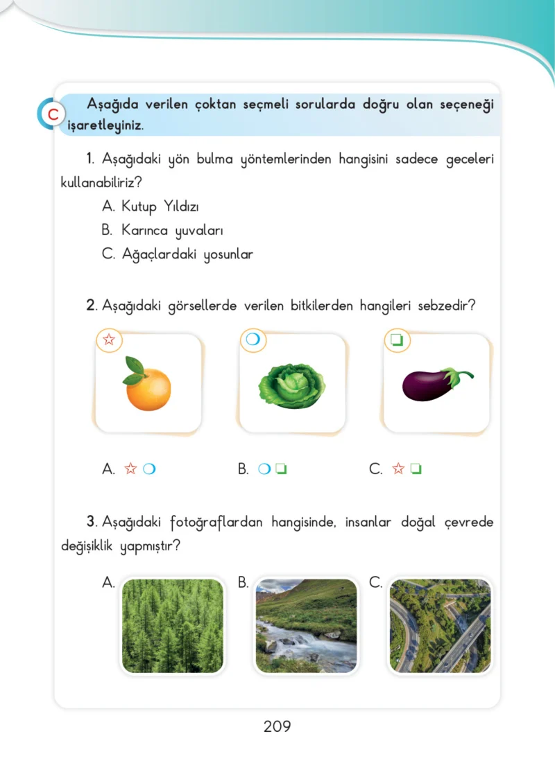 3. Sınıf Hayat Bilgisi Ders Kitabı Cevapları SDR İpekyolu Yayınları Sayfa 209