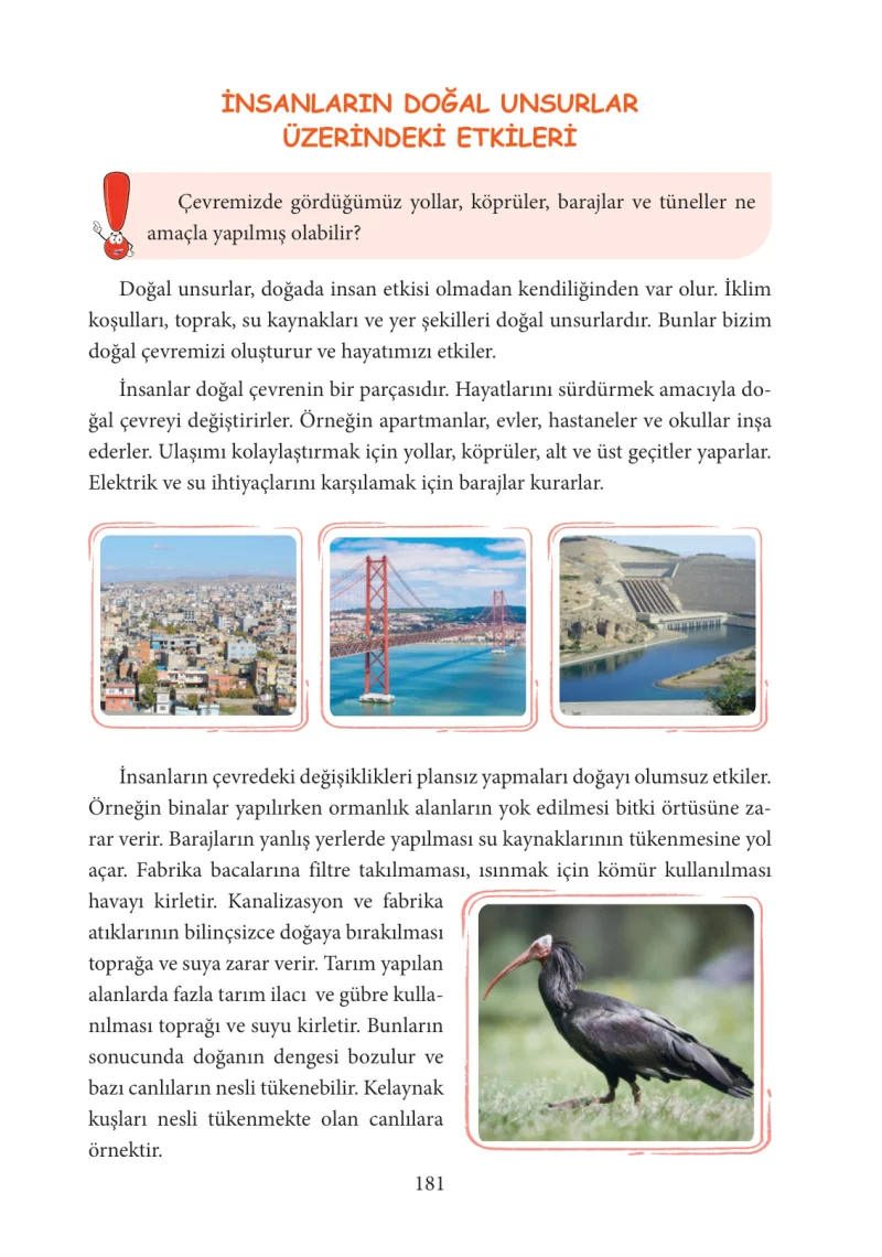 3. Sınıf Hayat Bilgisi Ders Kitabı Cevapları Tuna Yayınları Sayfa 181