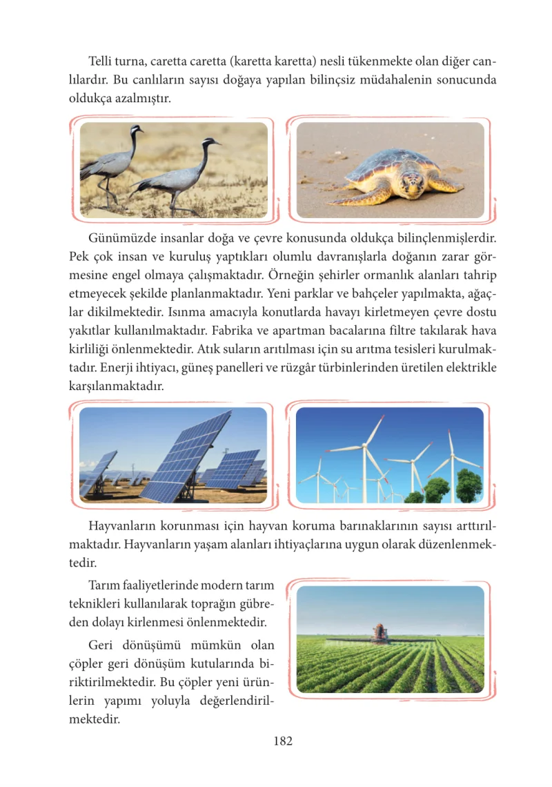 3. Sınıf Hayat Bilgisi Ders Kitabı Cevapları Tuna Yayınları Sayfa 182