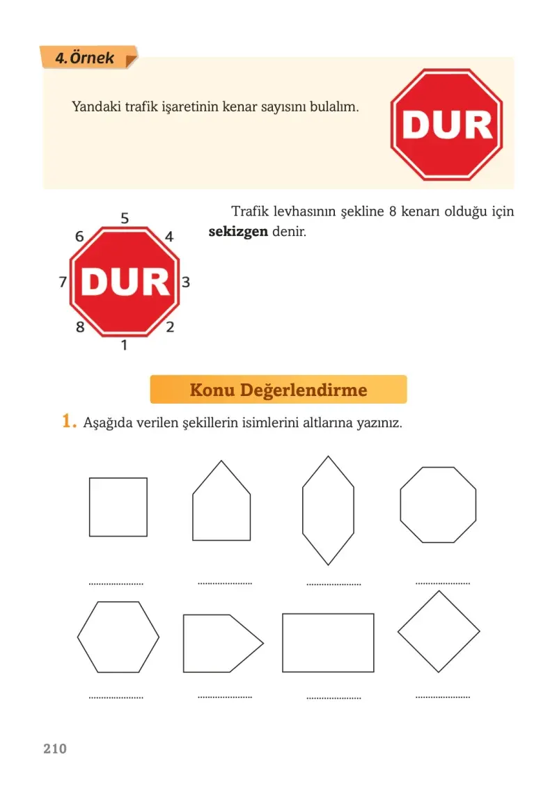 3. Sınıf Matematik Ders Kitabı Cevapları Ekoyay Yayınları Sayfa 210
