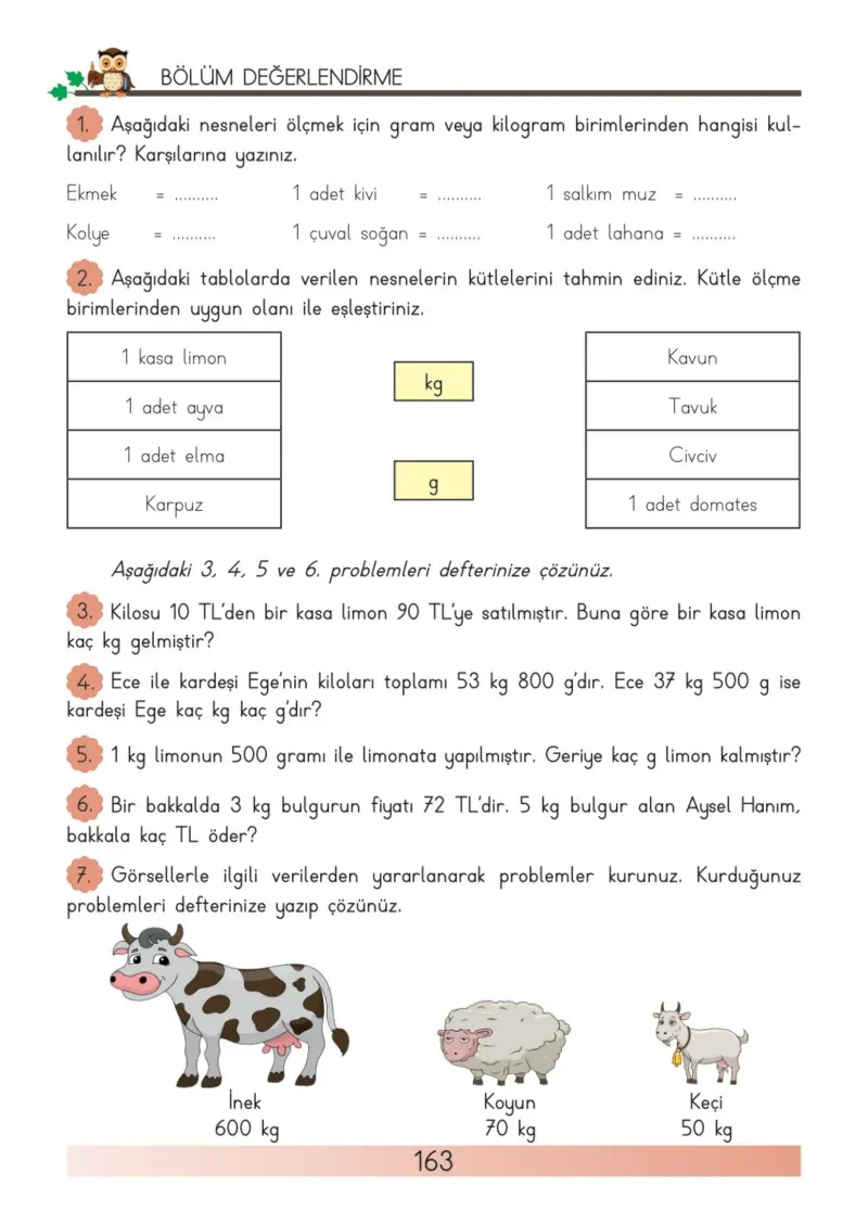 3. Sınıf Matematik Ders Kitabı Cevapları Meb Yayınları Sayfa 163