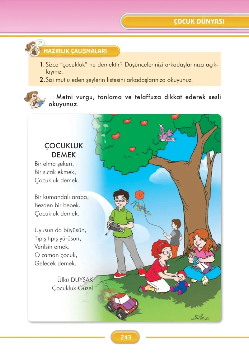 3. Sınıf Türkçe Ders Kitabı Cevapları İlke Yayınları Sayfa 243