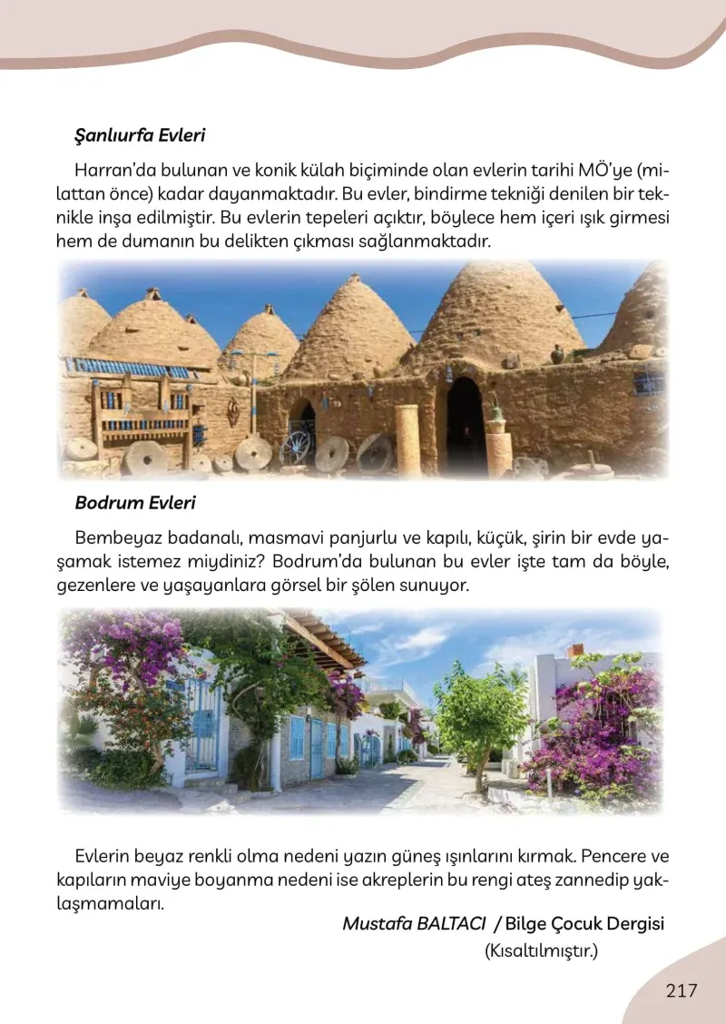3. Sınıf Türkçe Ders Kitabı Cevapları Meb Yayınları Sayfa 217