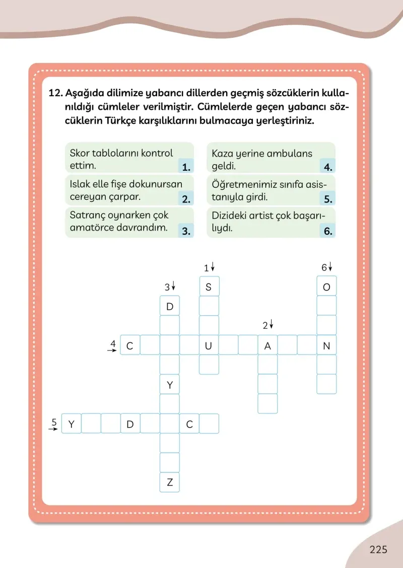 3. Sınıf Türkçe Ders Kitabı Cevapları Meb Yayınları Sayfa 225