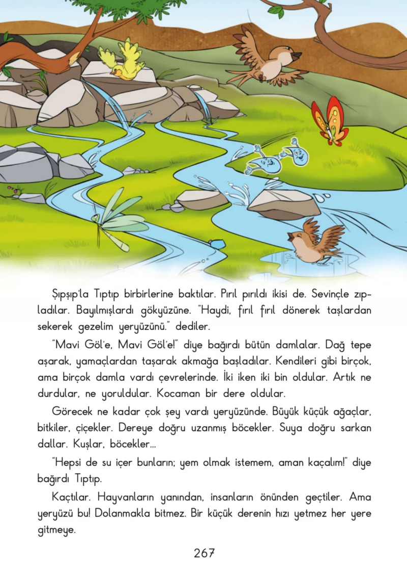 3. Sınıf Türkçe Ders Kitabı Cevapları SDR İpekyolu Yayınları Sayfa 267