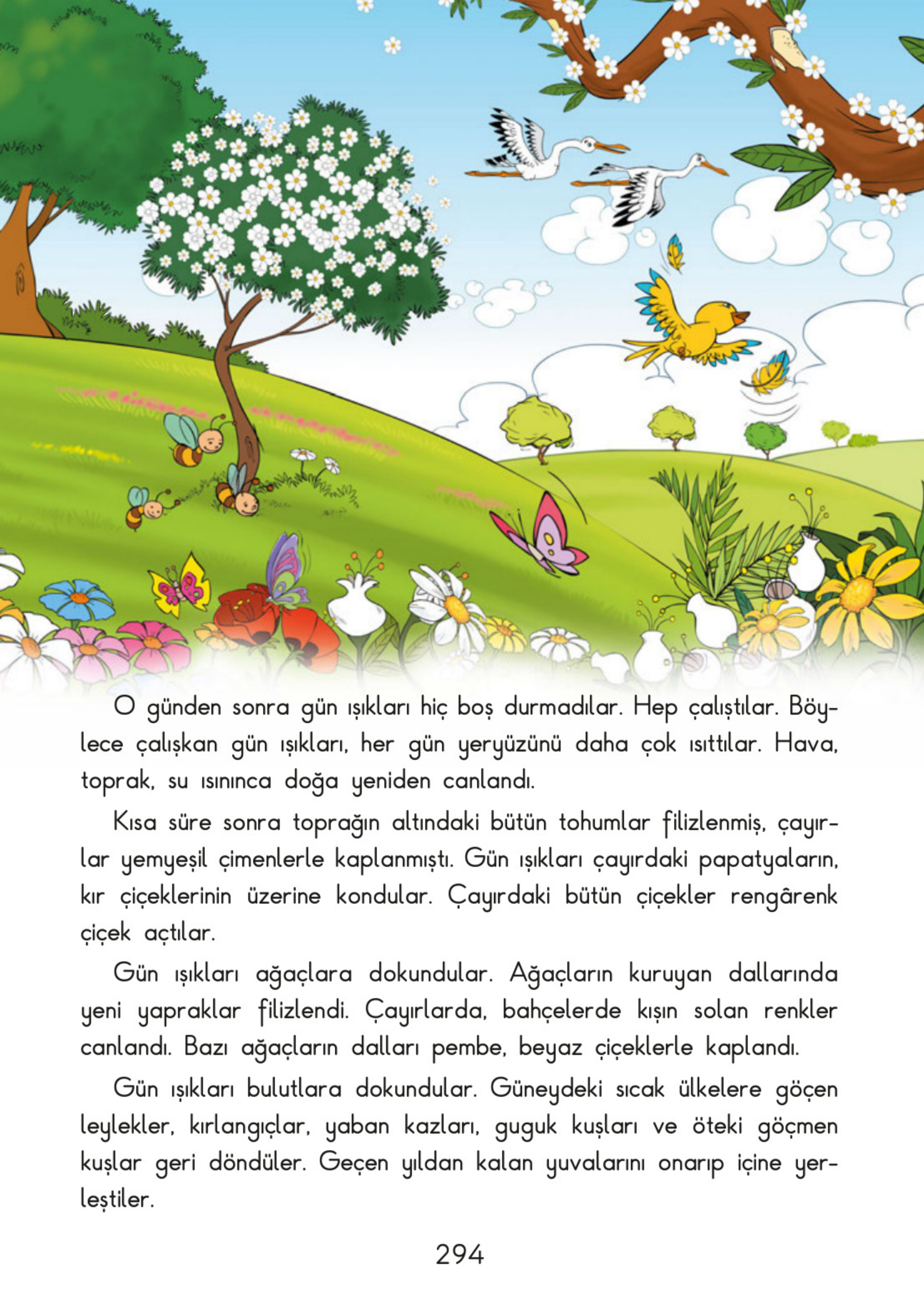 Kitap Sayfası