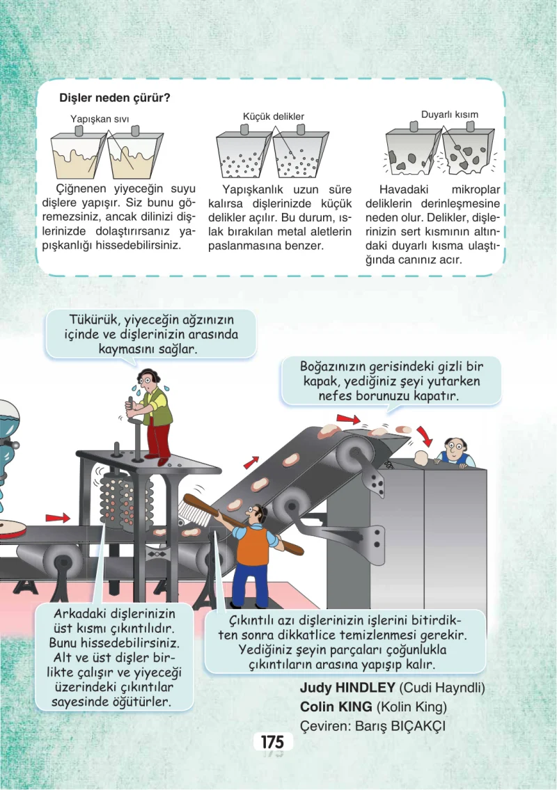 3. Sınıf Türkçe Ders Kitabı Cevapları Sonuç Yayınları Sayfa 175