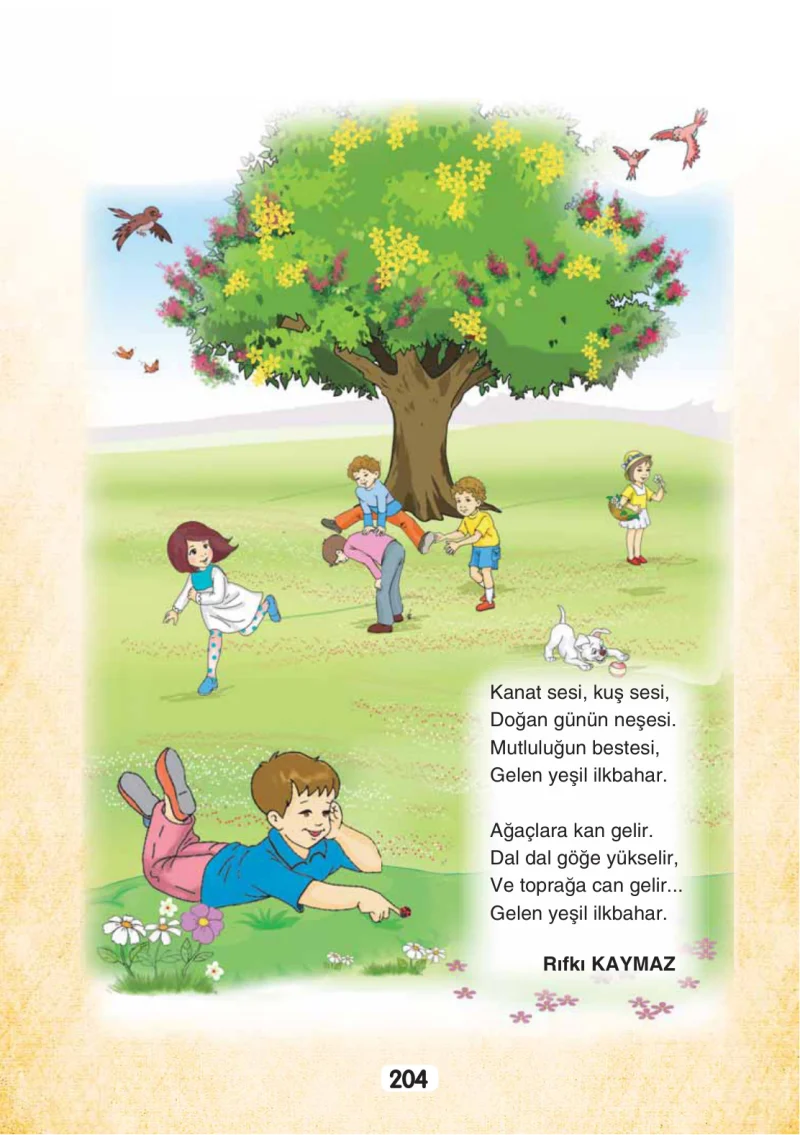 3. Sınıf Türkçe Ders Kitabı Cevapları Sonuç Yayınları Sayfa 204