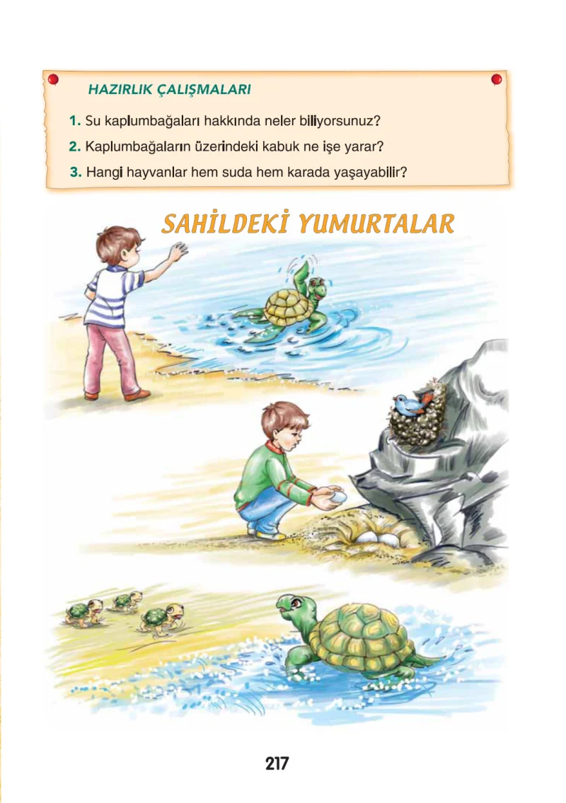 3. Sınıf Türkçe Ders Kitabı Cevapları Sonuç Yayınları Sayfa 217