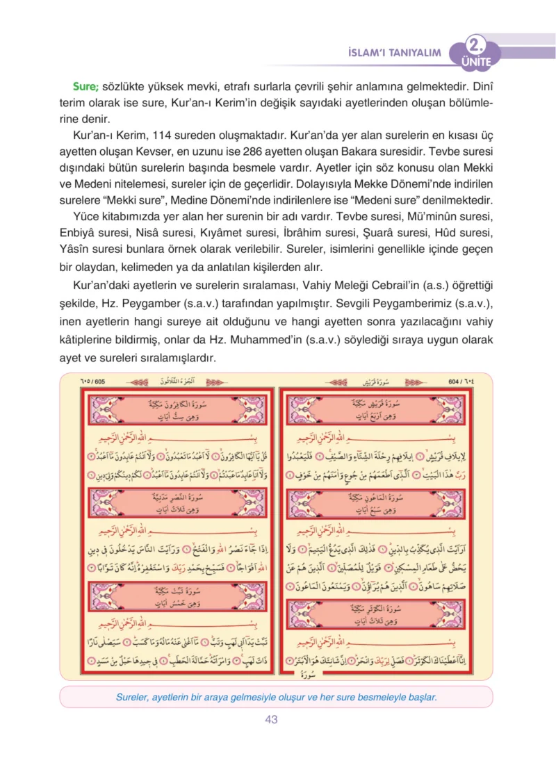 4. Sınıf Din Kültürü ve Ahlak Bilgisi Ders Kitabı Cevapları Anka Yayınları Sayfa 43