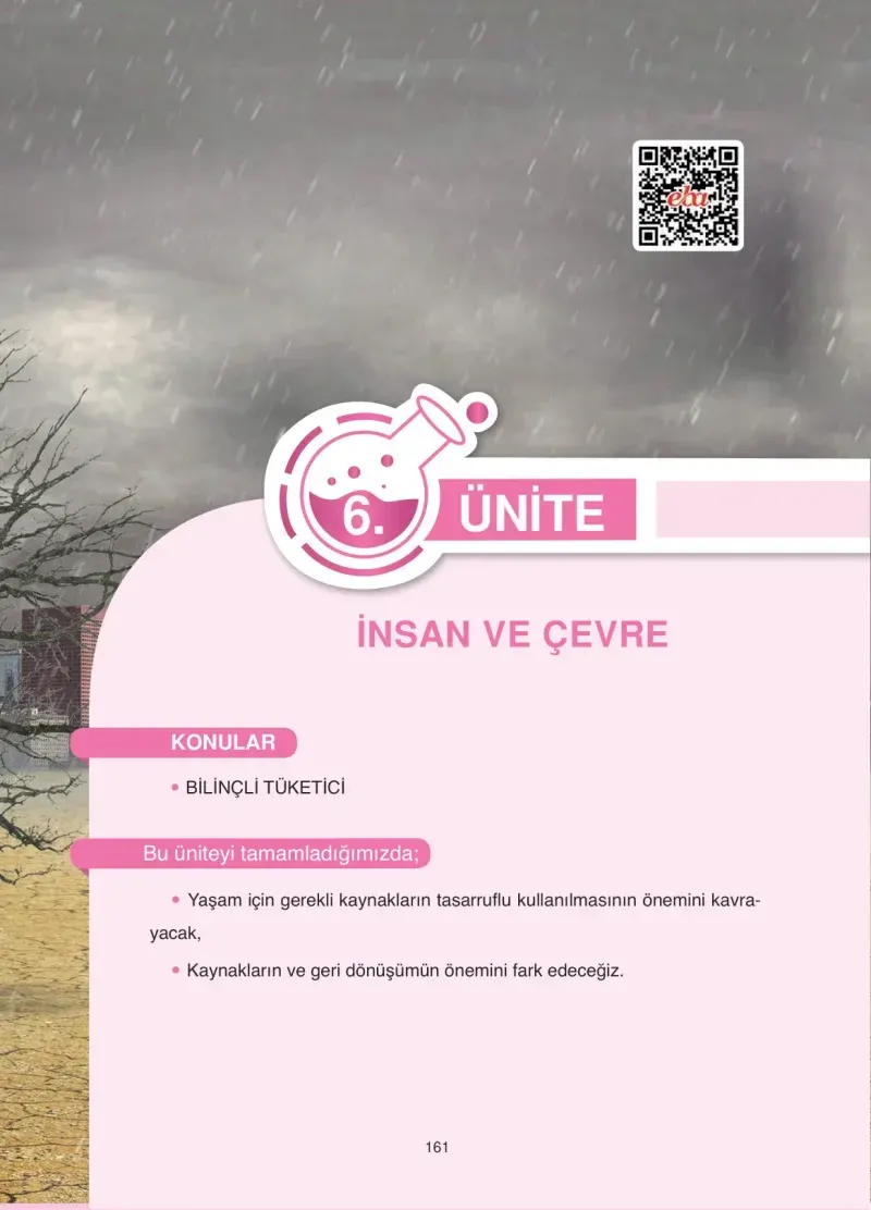 4. Sınıf Fen Bilimleri Ders Kitabı Cevapları Anka Yayınevi Sayfa 161