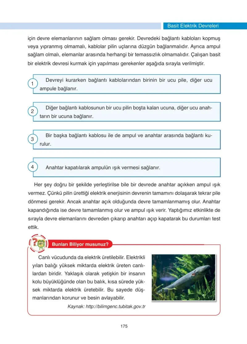 4. Sınıf Fen Bilimleri Ders Kitabı Cevapları Anka Yayınevi Sayfa 175