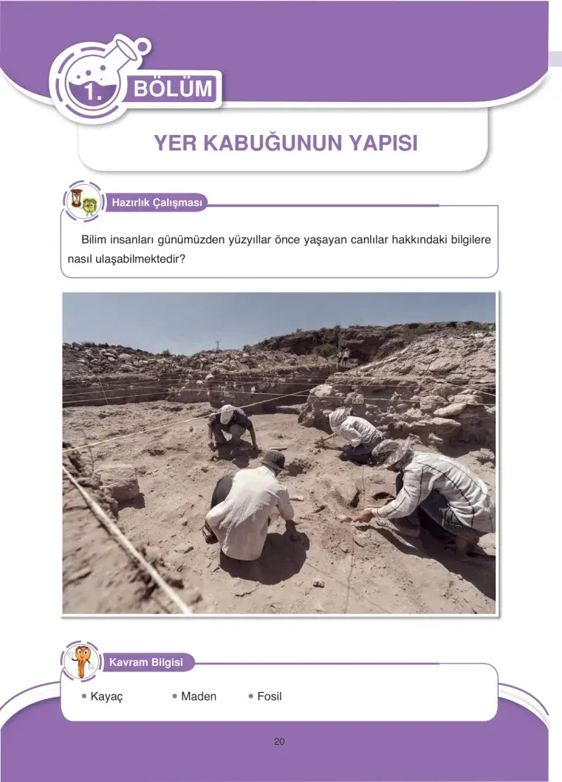 4. Sınıf Fen Bilimleri Ders Kitabı Cevapları Anka Yayınevi Sayfa 20