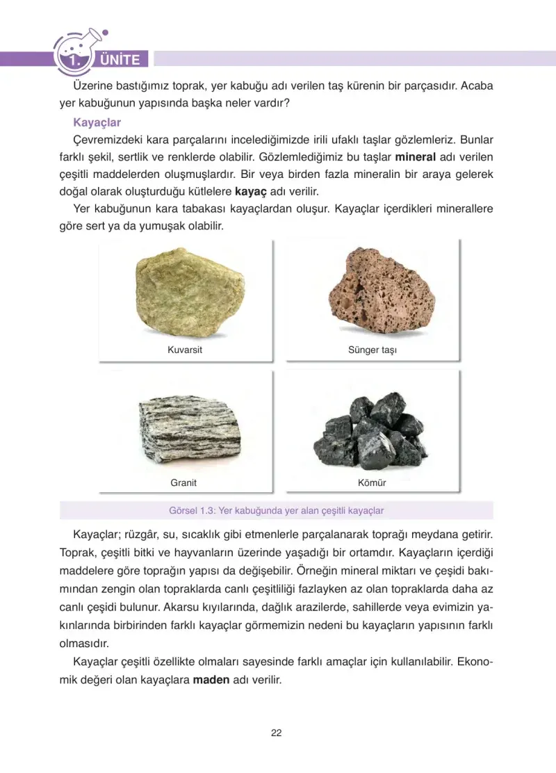 4. Sınıf Fen Bilimleri Ders Kitabı Cevapları Anka Yayınevi Sayfa 22