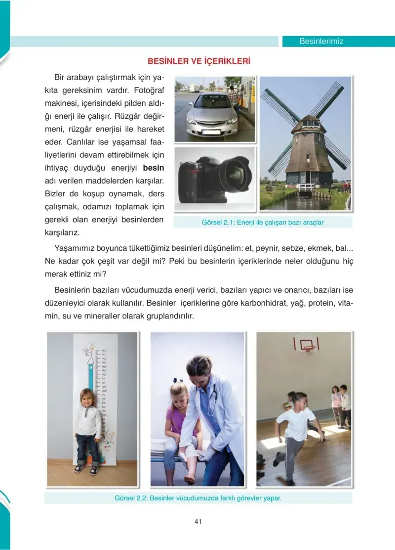4. Sınıf Fen Bilimleri Ders Kitabı Cevapları Anka Yayınevi Sayfa 41