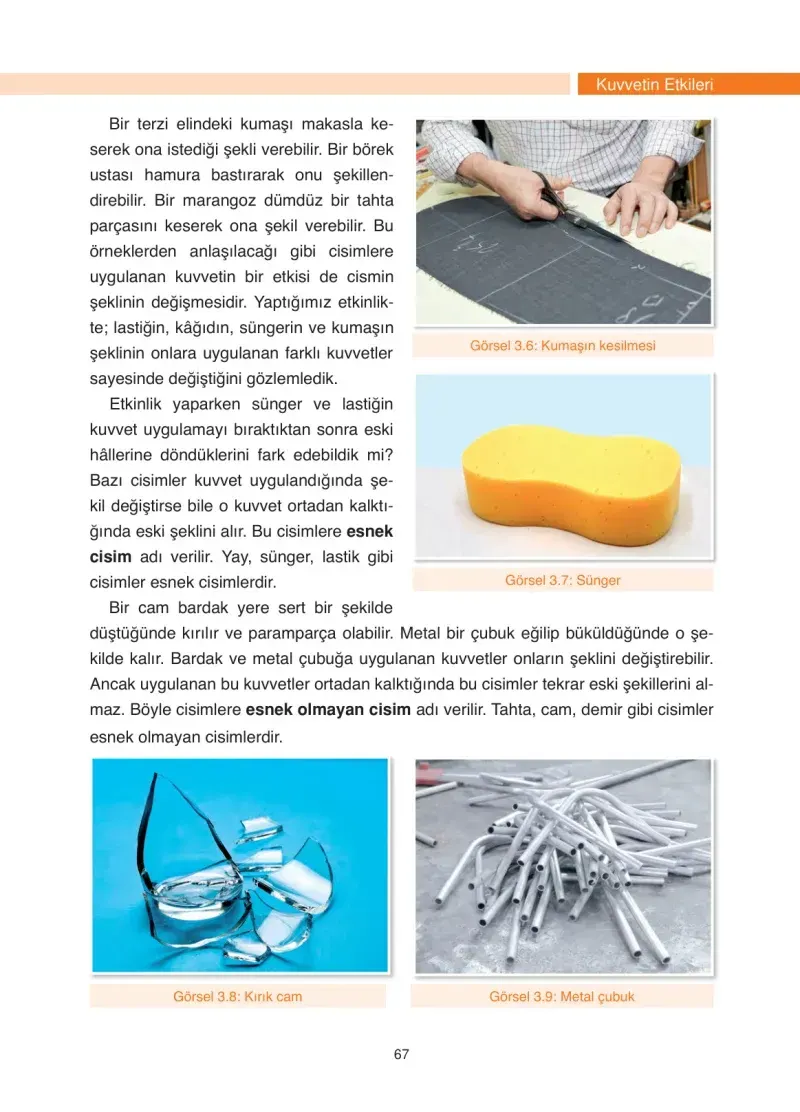 4. Sınıf Fen Bilimleri Ders Kitabı Cevapları Anka Yayınevi Sayfa 67