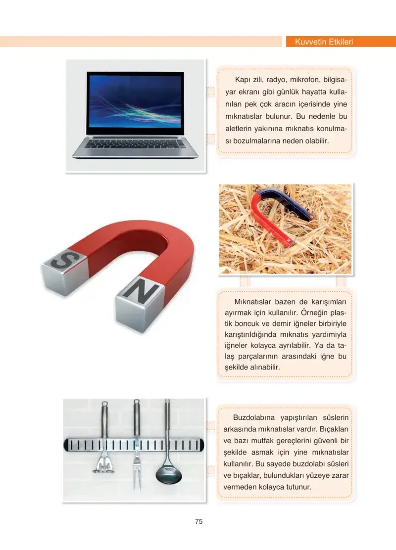 4. Sınıf Fen Bilimleri Ders Kitabı Cevapları Anka Yayınevi Sayfa 75