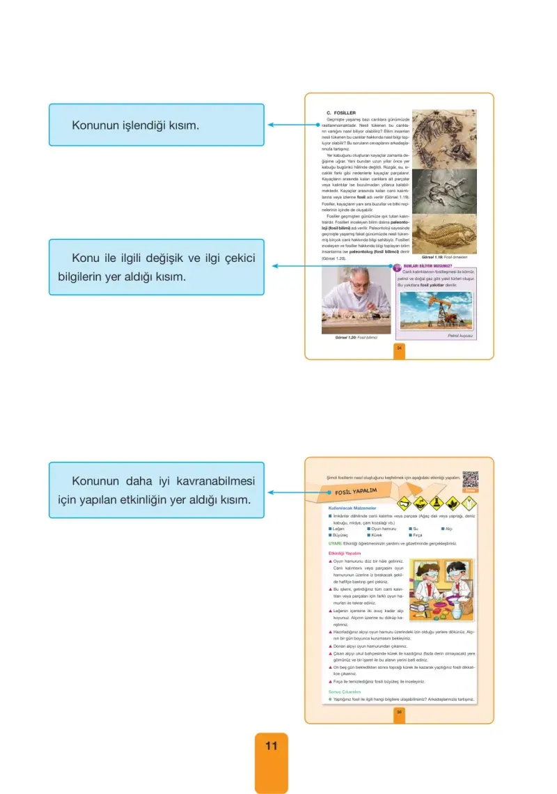 4. Sınıf Fen Bilimleri Ders Kitabı Cevapları Pasifik Yayınları Sayfa 11