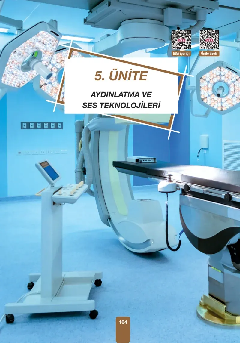 4. Sınıf Fen Bilimleri Ders Kitabı Cevapları Pasifik Yayınları Sayfa 164