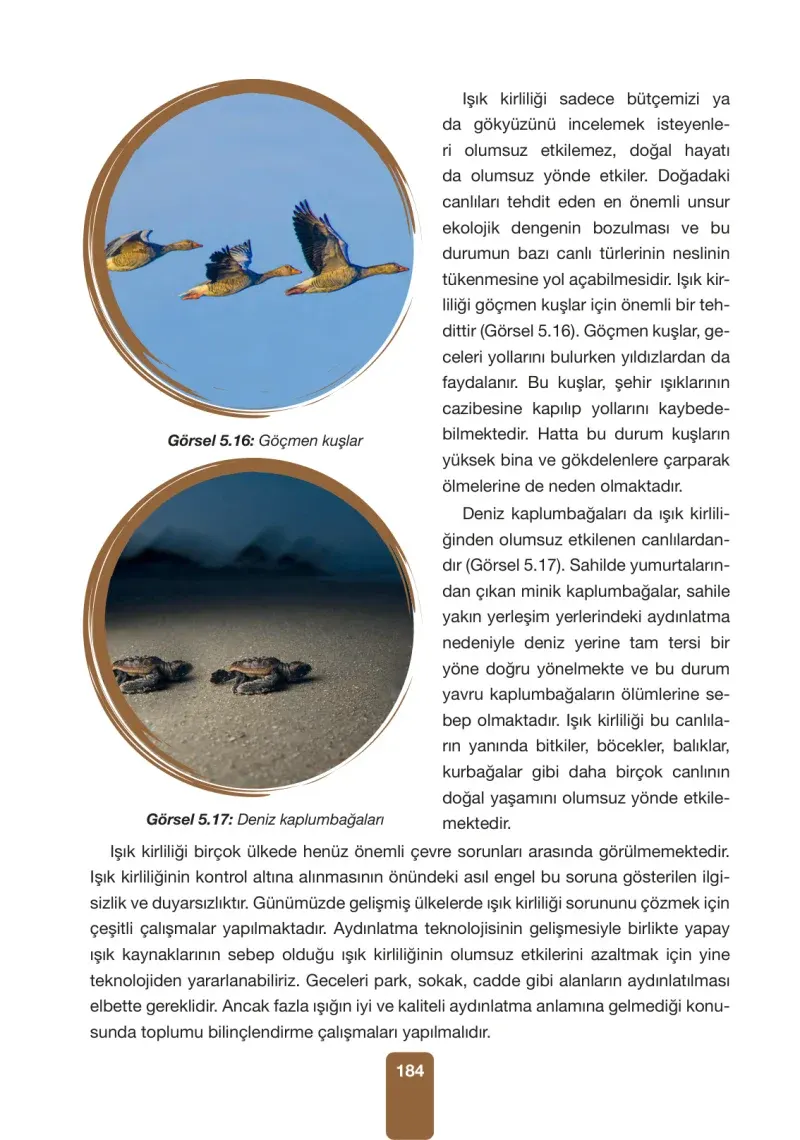 4. Sınıf Fen Bilimleri Ders Kitabı Cevapları Pasifik Yayınları Sayfa 184