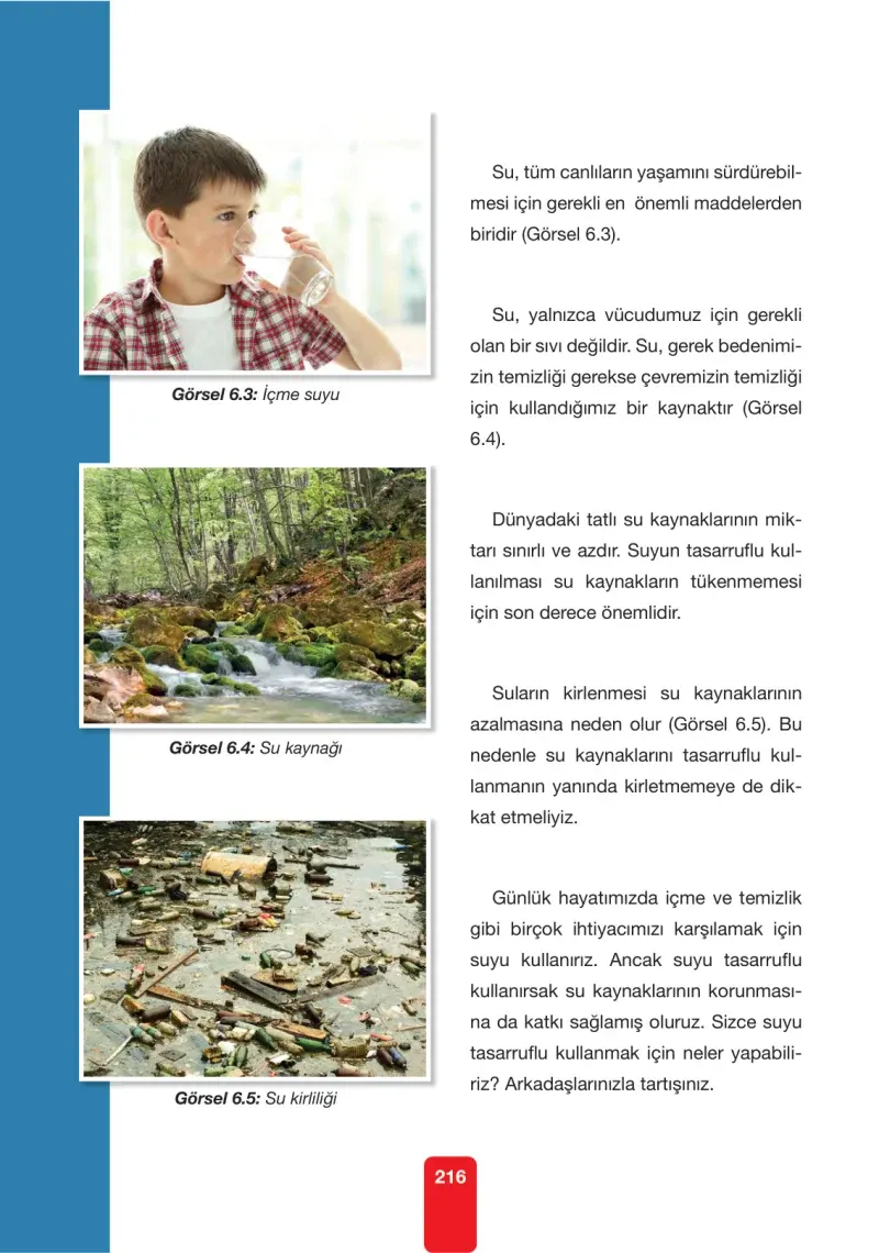4. Sınıf Fen Bilimleri Ders Kitabı Cevapları Pasifik Yayınları Sayfa 216