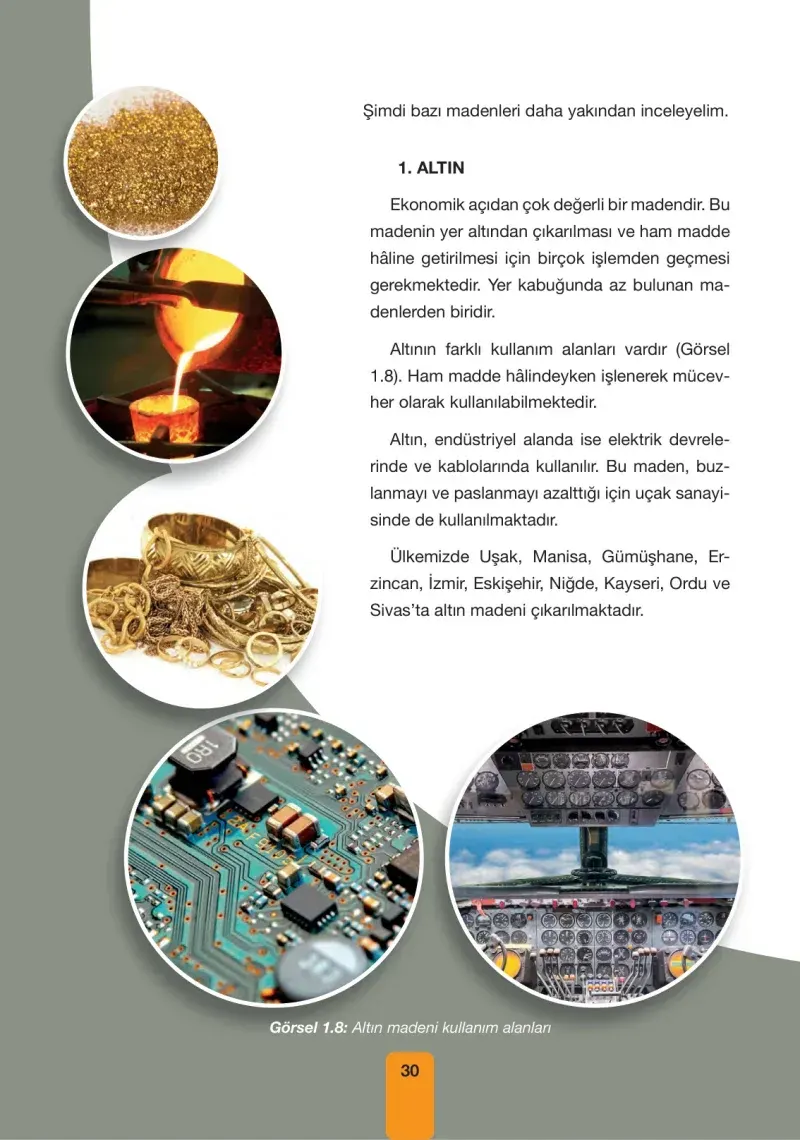 4. Sınıf Fen Bilimleri Ders Kitabı Cevapları Pasifik Yayınları Sayfa 30