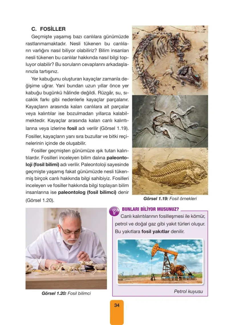 4. Sınıf Fen Bilimleri Ders Kitabı Cevapları Pasifik Yayınları Sayfa 34