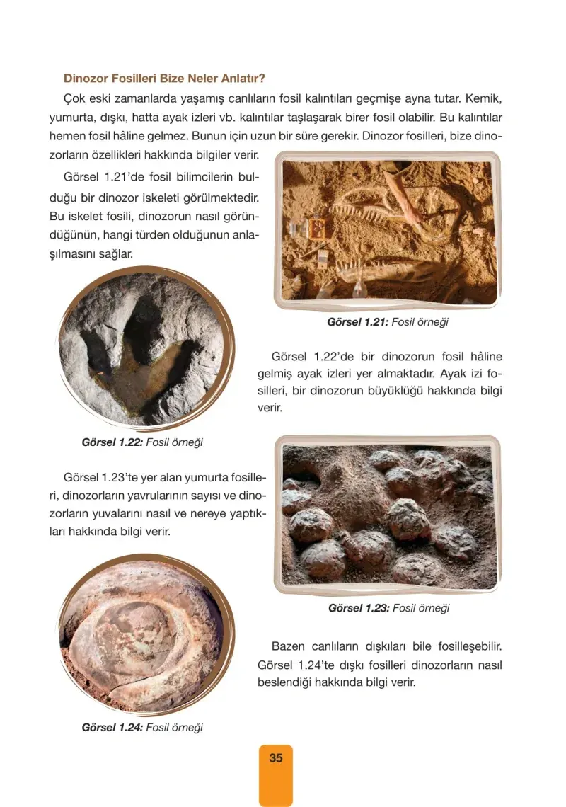 4. Sınıf Fen Bilimleri Ders Kitabı Cevapları Pasifik Yayınları Sayfa 35
