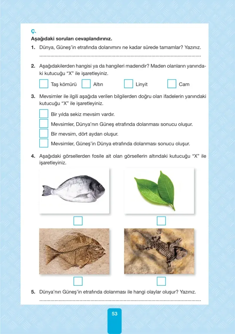 4. Sınıf Fen Bilimleri Ders Kitabı Cevapları Pasifik Yayınları Sayfa 53
