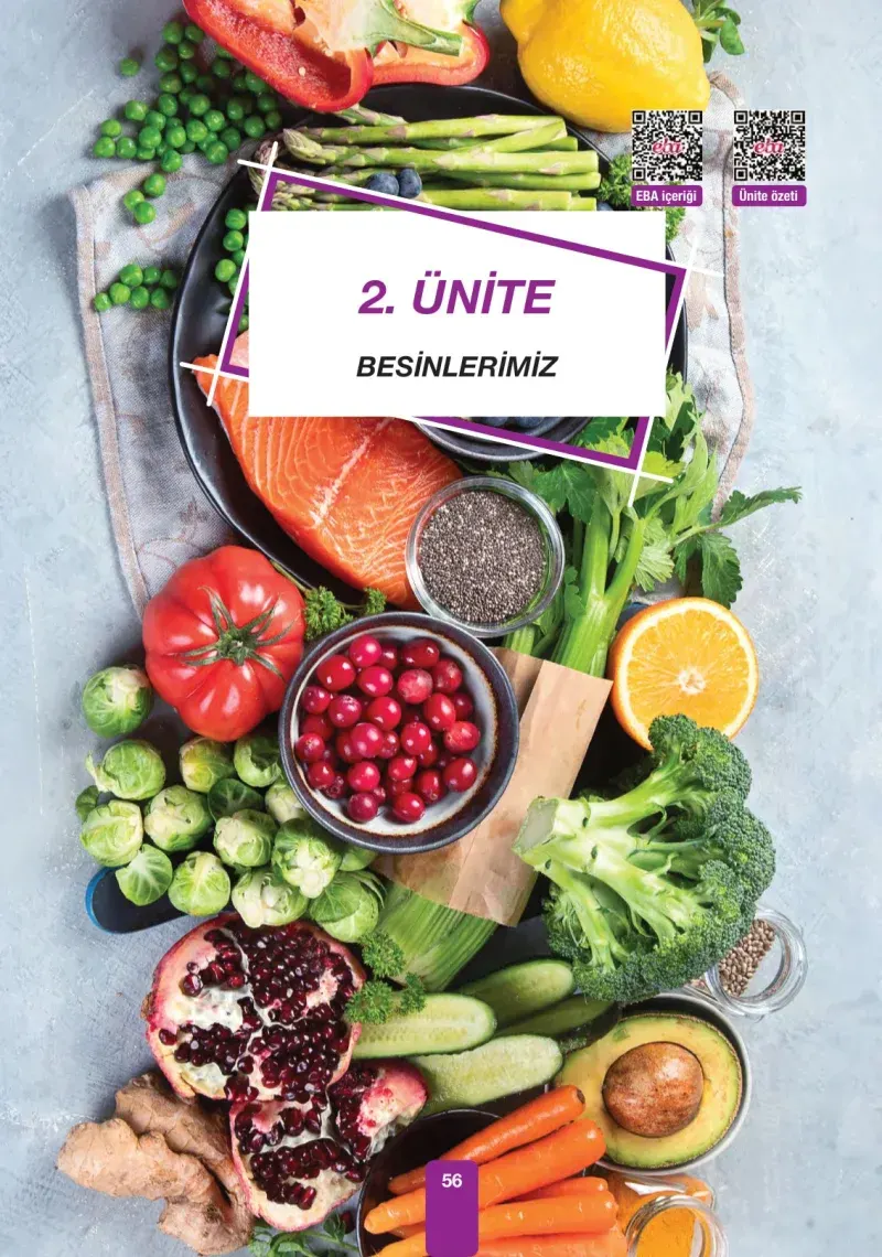 4. Sınıf Fen Bilimleri Ders Kitabı Cevapları Pasifik Yayınları Sayfa 56