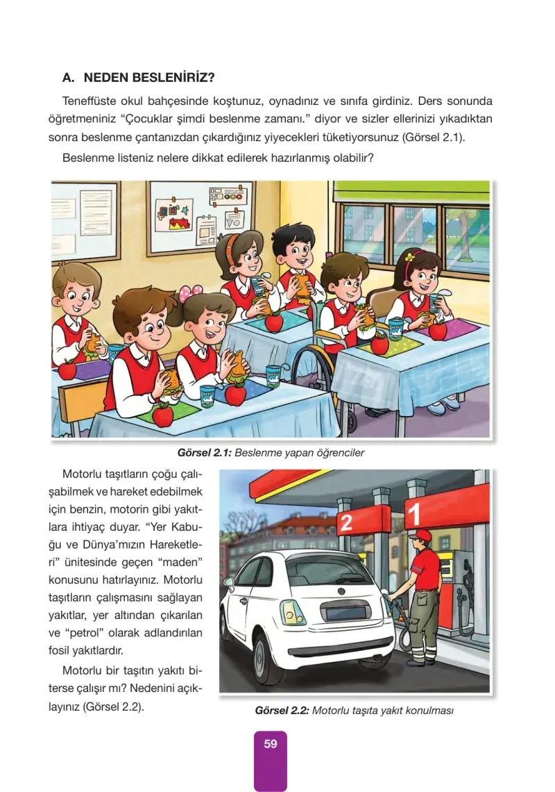 4. Sınıf Fen Bilimleri Ders Kitabı Cevapları Pasifik Yayınları Sayfa 59