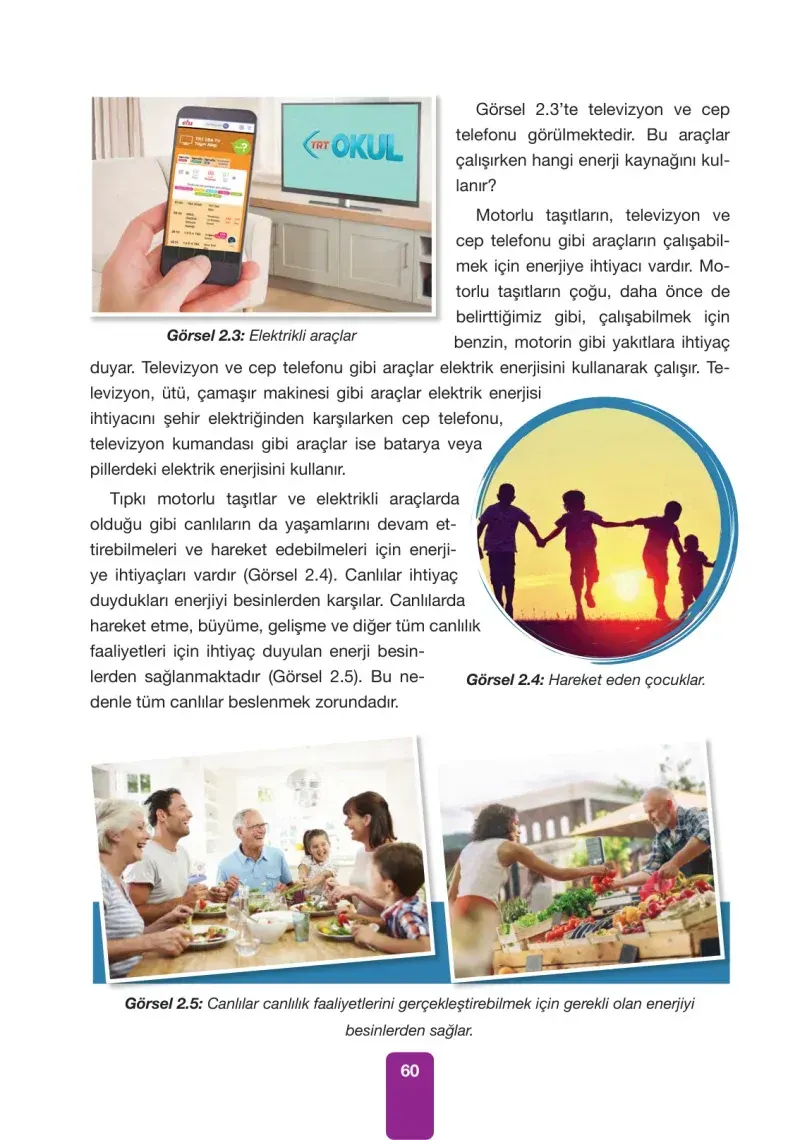 4. Sınıf Fen Bilimleri Ders Kitabı Cevapları Pasifik Yayınları Sayfa 60