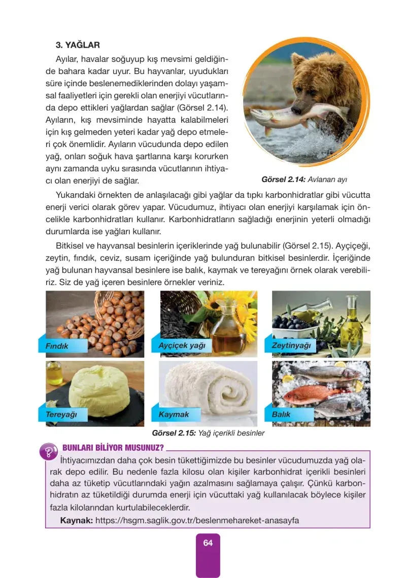 4. Sınıf Fen Bilimleri Ders Kitabı Cevapları Pasifik Yayınları Sayfa 64