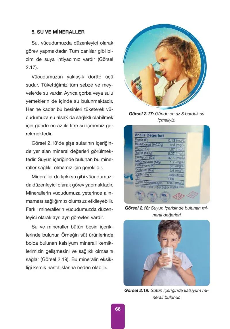 4. Sınıf Fen Bilimleri Ders Kitabı Cevapları Pasifik Yayınları Sayfa 66