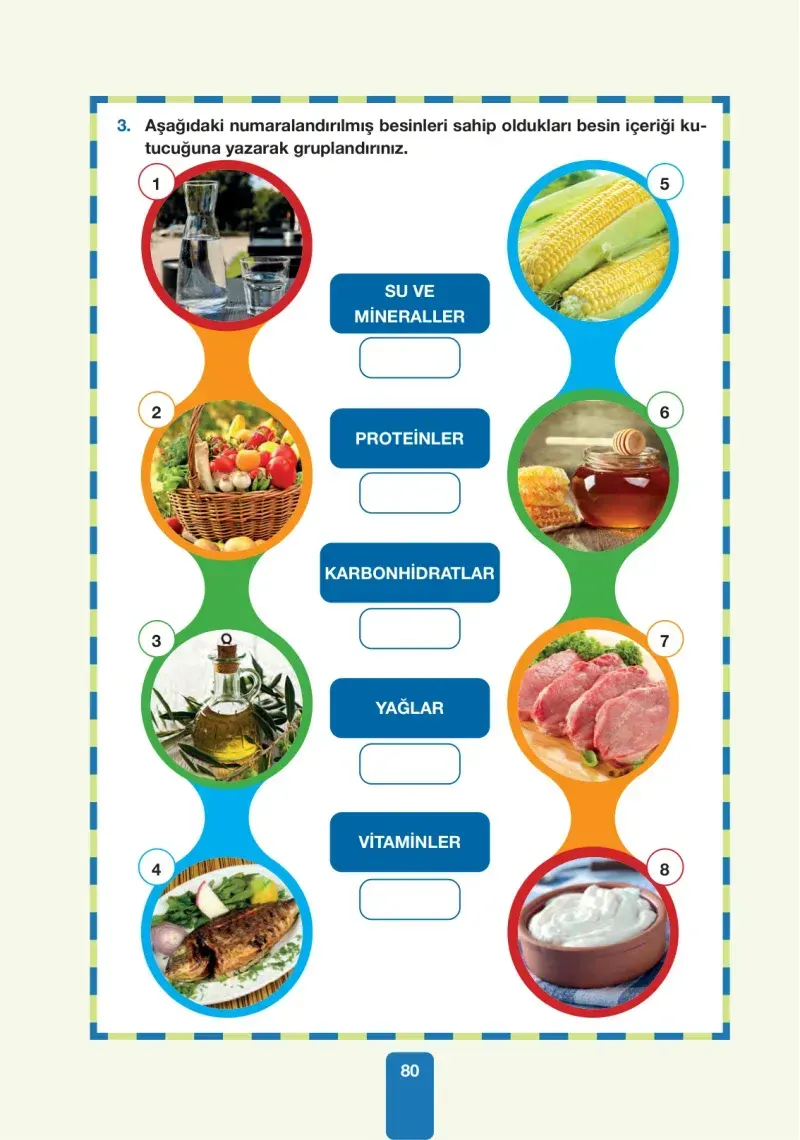 4. Sınıf Fen Bilimleri Ders Kitabı Cevapları Pasifik Yayınları Sayfa 80