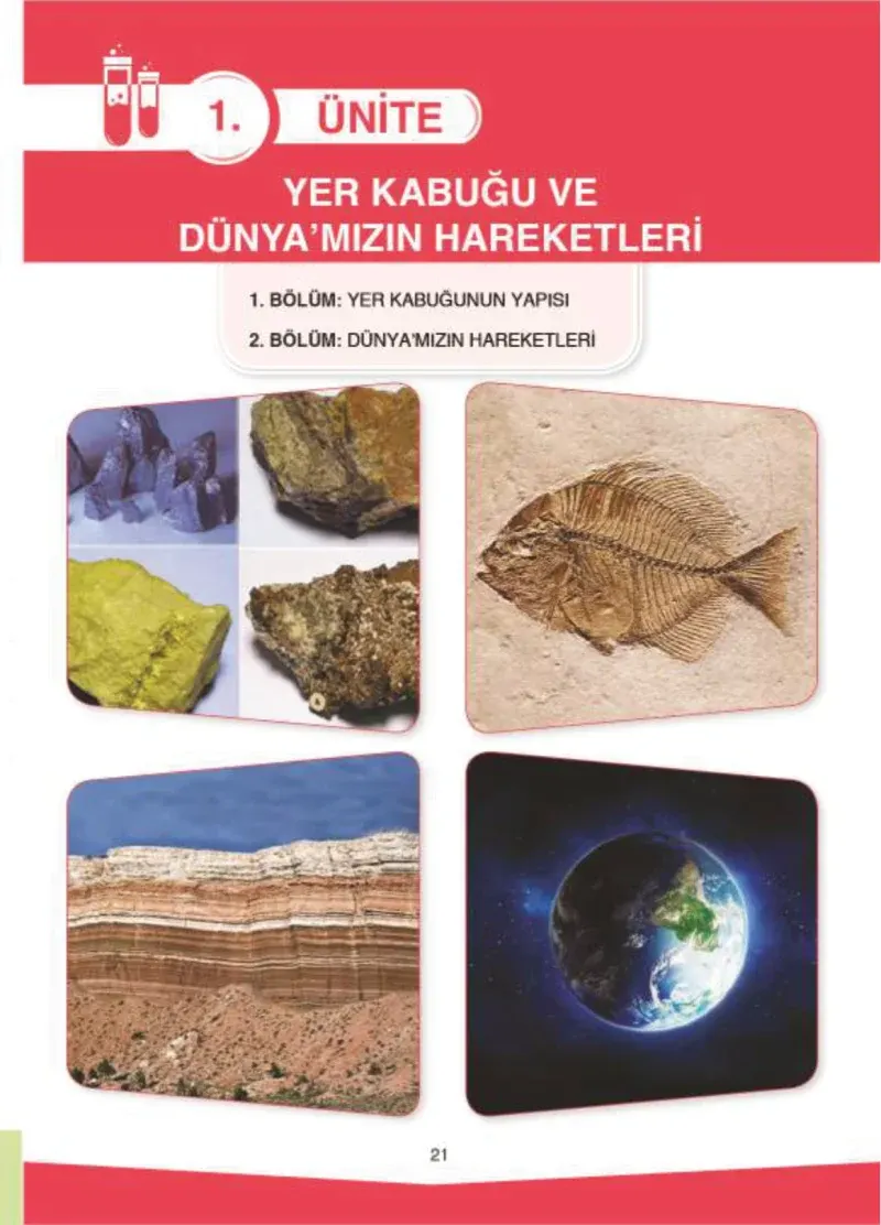 4. Sınıf Fen Bilimleri Ders Kitabı Cevapları SDR İpekyolu Yayıncılık Sayfa 21